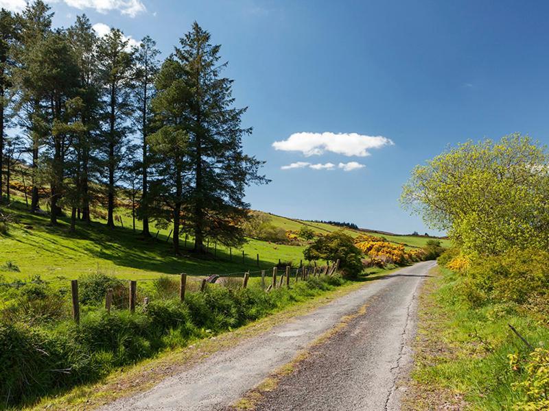 Вілла Curradoon House Ballynamult Екстер'єр фото